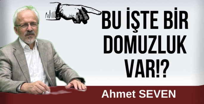 Bu işte bir domuzluk var!