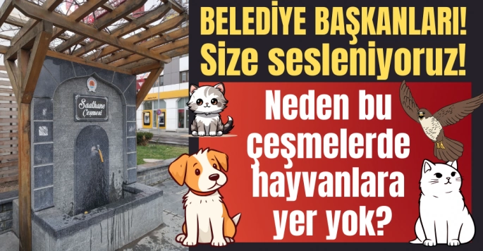 Çeşmelerde hayvanların su içecek bölüm istiyoruz