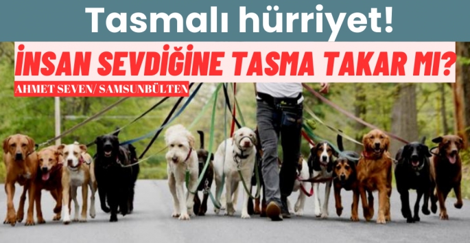 İnsan sevdiğine tasma takar mı?