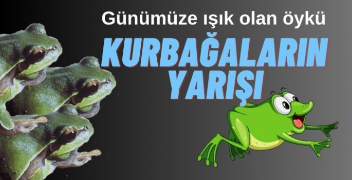 Kurbağaların yarışı